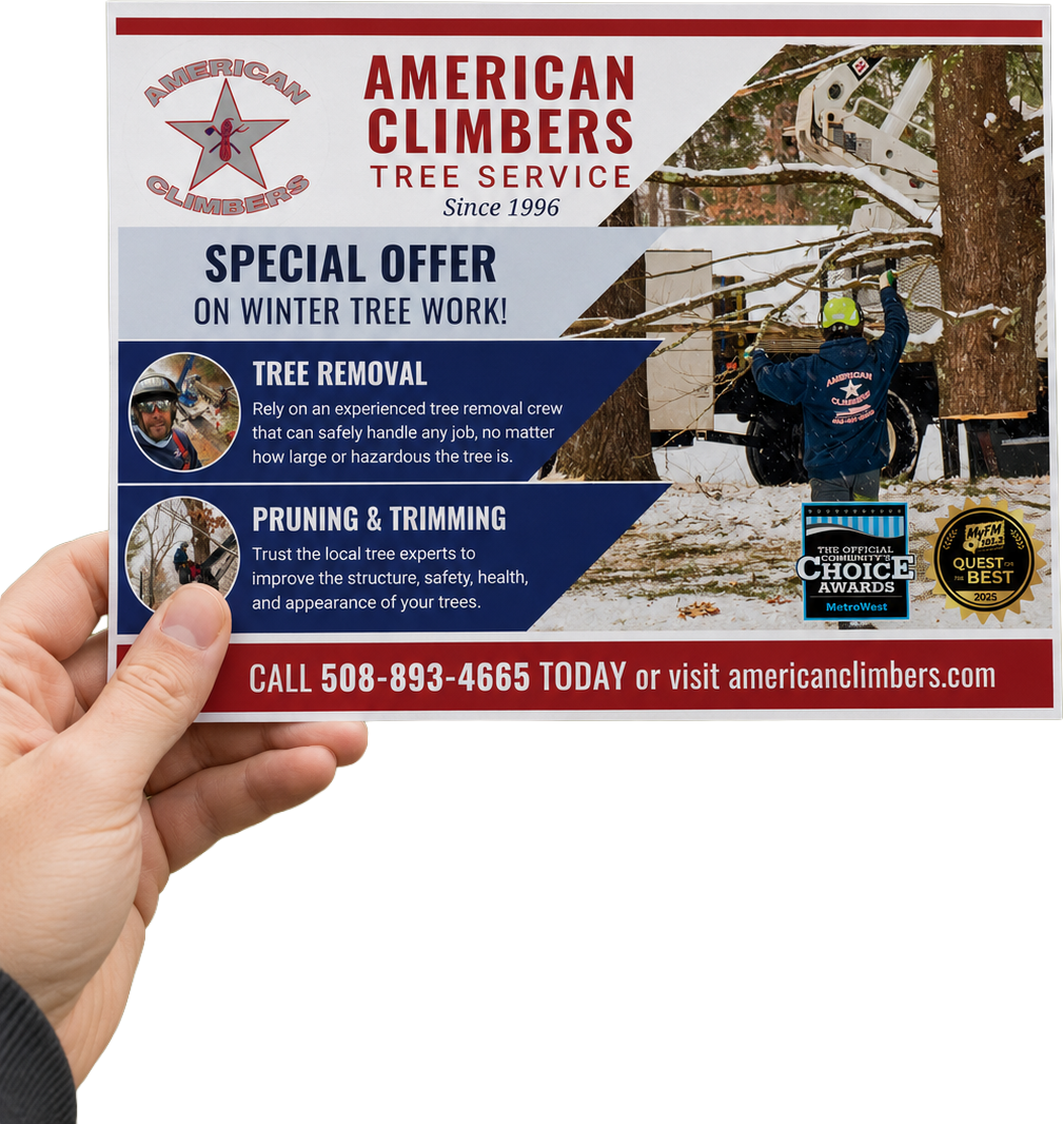 Brochure Design and Brochure Printing